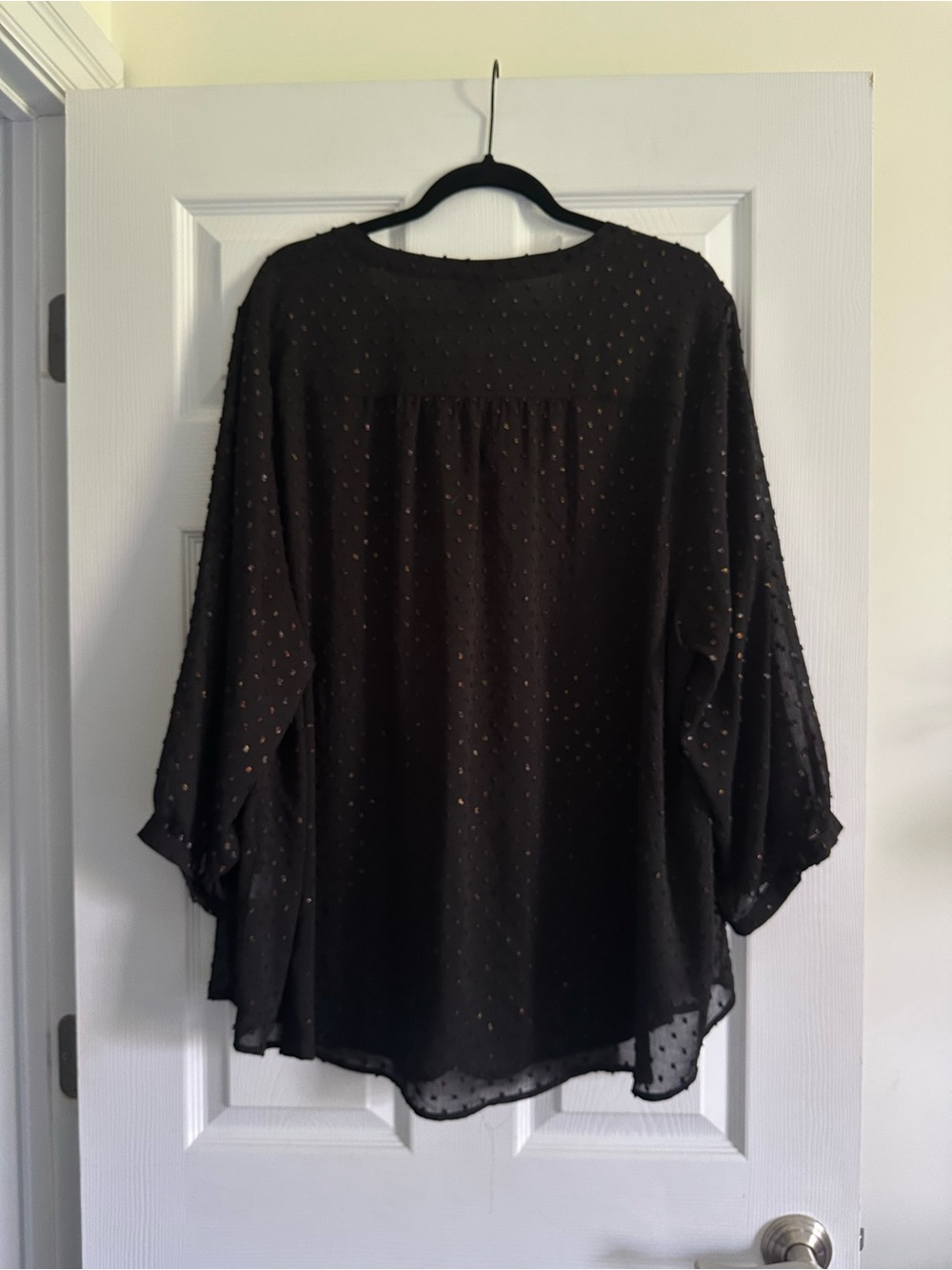 Size 4 Torrid Women’s Peasant Blouse Georgette Metallic Clip Dot Black Sheer Top - Picture 7 of 10